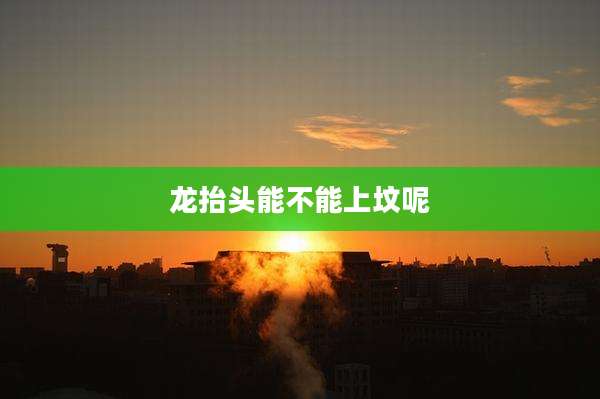 龙抬头能不能上坟呢