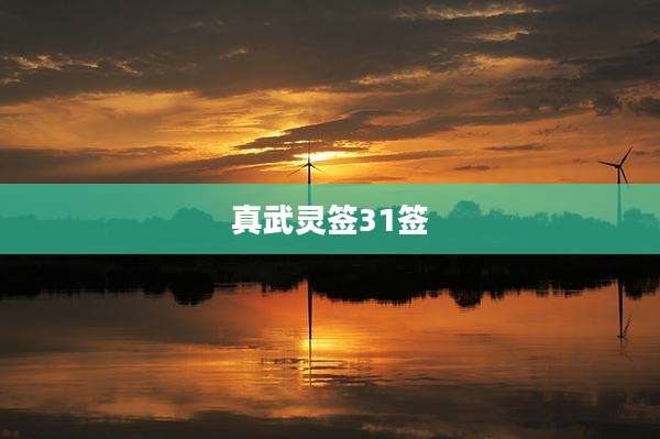 真武灵签31签