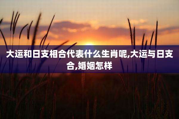 大运和日支相合代表什么生肖呢,大运与日支合,婚姻怎样