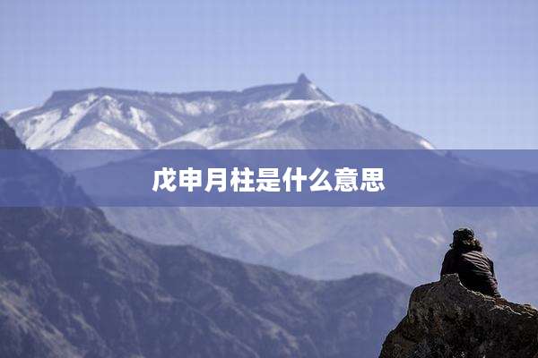 戊申月柱是什么意思