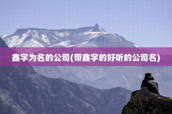 鑫字为名的公司(带鑫字的好听的公司名)
