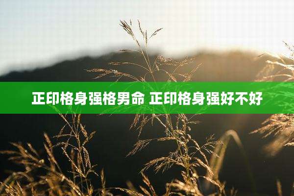 正印格身强格男命 正印格身强好不好