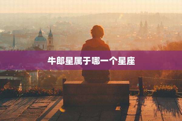 牛郎星属于哪一个星座