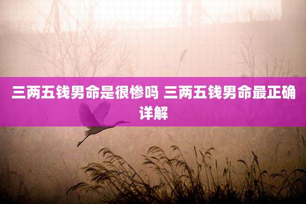 三两五钱男命是很惨吗 三两五钱男命最正确详解