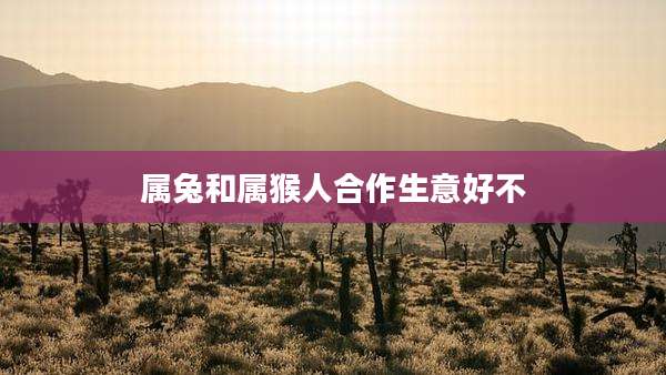 属兔和属猴人合作生意好不