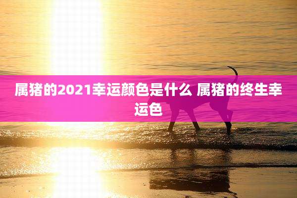 属猪的2021幸运颜色是什么 属猪的终生幸运色
