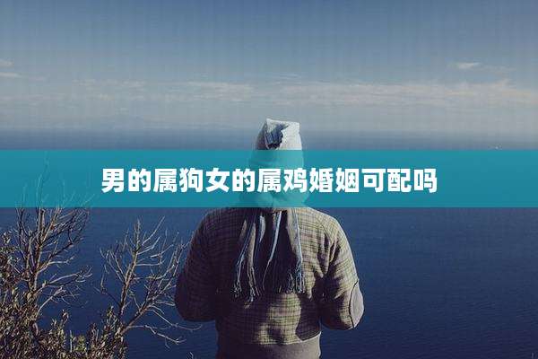 男的属狗女的属鸡婚姻可配吗