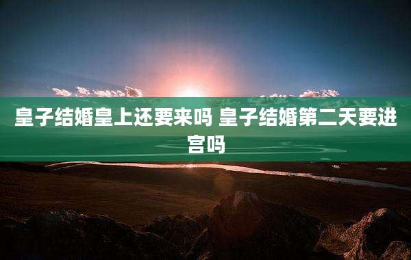 皇子结婚皇上还要来吗 皇子结婚第二天要进宫吗