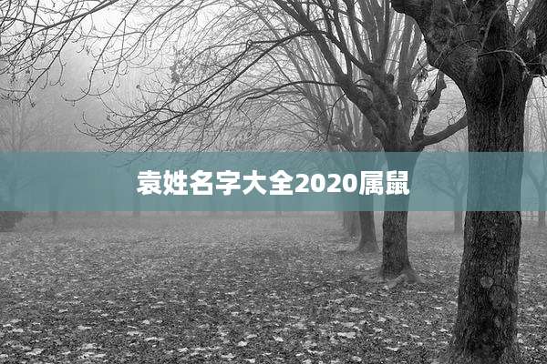 袁姓名字大全2020属鼠