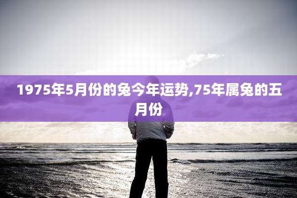 1975年5月份的兔今年运势,75年属兔的五月份