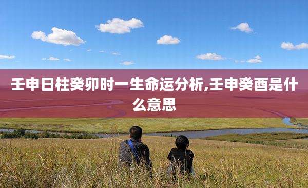 壬申日柱癸卯时一生命运分析,壬申癸酉是什么意思