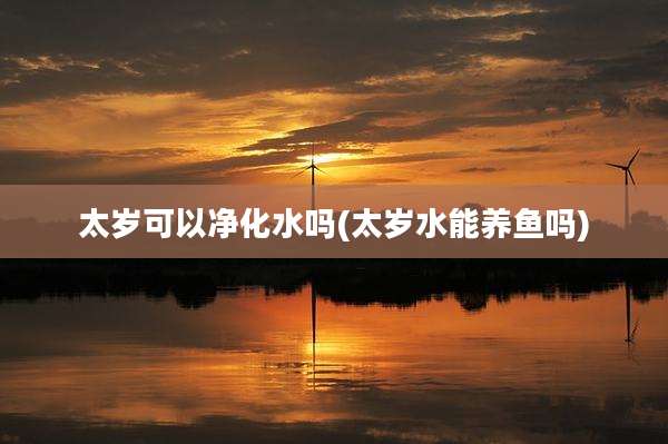 太岁可以净化水吗(太岁水能养鱼吗)