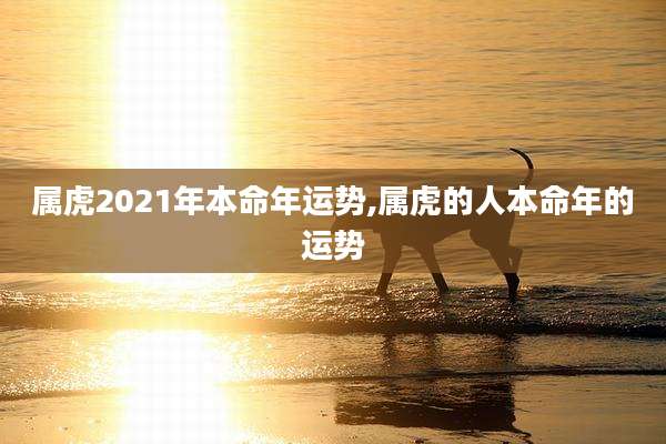 属虎2021年本命年运势,属虎的人本命年的运势