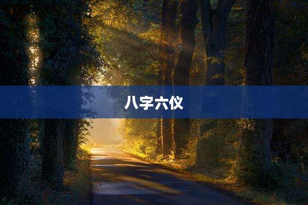八字六仪