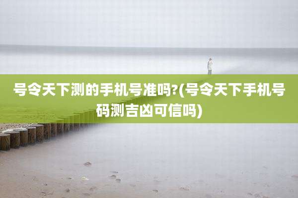 号令天下测的手机号准吗?(号令天下手机号码测吉凶可信吗)