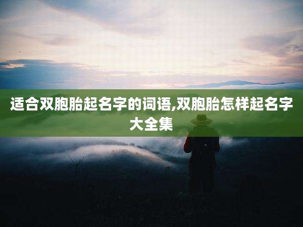 适合双胞胎起名字的词语,双胞胎怎样起名字大全集