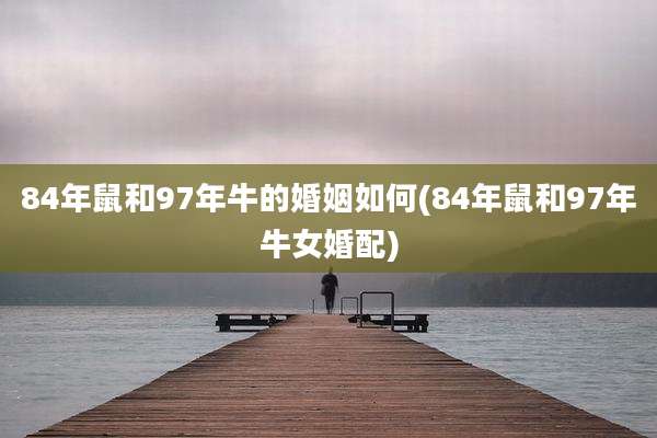 84年鼠和97年牛的婚姻如何(84年鼠和97年牛女婚配)
