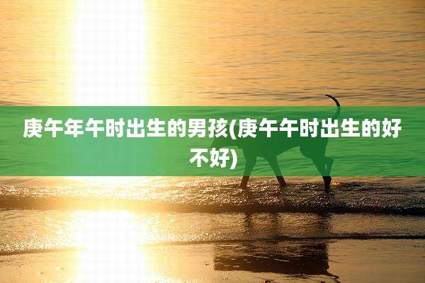 庚午年午时出生的男孩(庚午午时出生的好不好)