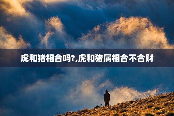 虎和猪相合吗?,虎和猪属相合不合财