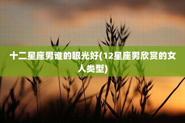 十二星座男谁的眼光好(12星座男欣赏的女人类型)
