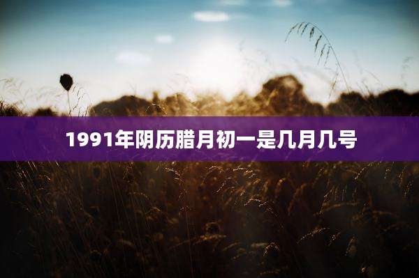 1991年阴历腊月初一是几月几号