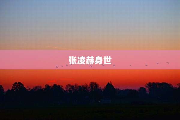 张凌赫身世