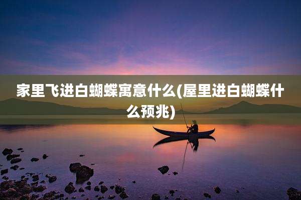 家里飞进白蝴蝶寓意什么(屋里进白蝴蝶什么预兆)