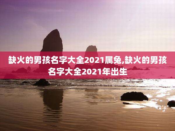 缺火的男孩名字大全2021属兔,缺火的男孩名字大全2021年出生