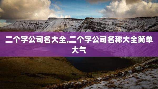 二个字公司名大全,二个字公司名称大全简单大气
