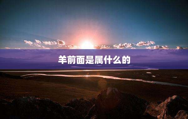 羊前面是属什么的