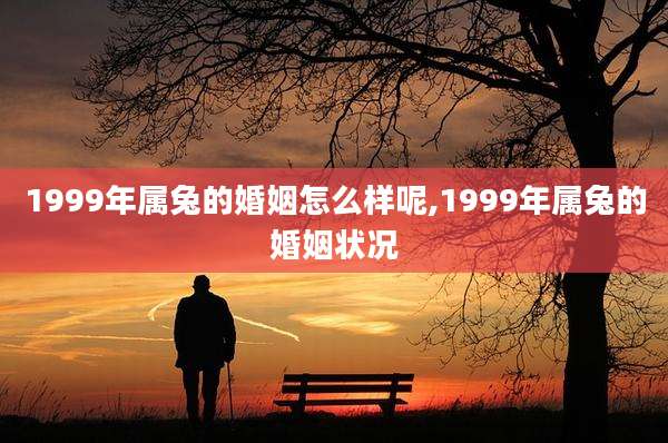 1999年属兔的婚姻怎么样呢,1999年属兔的婚姻状况