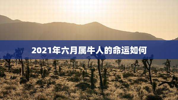 2021年六月属牛人的命运如何