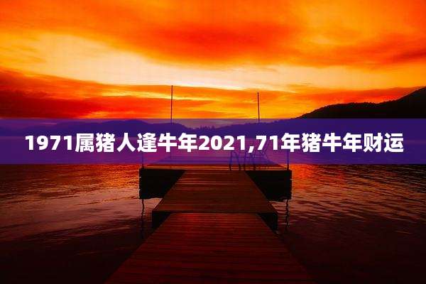 1971属猪人逢牛年2021,71年猪牛年财运