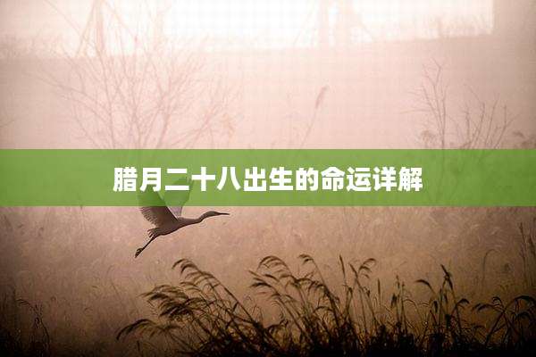 腊月二十八出生的命运详解