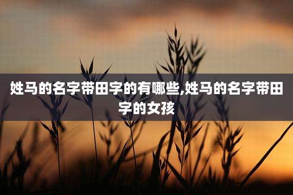 姓马的名字带田字的有哪些,姓马的名字带田字的女孩