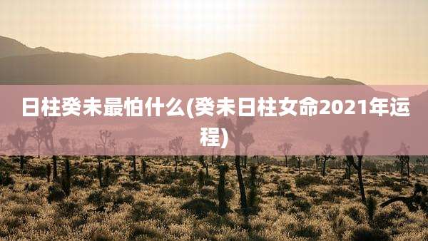 日柱癸未最怕什么(癸未日柱女命2021年运程)
