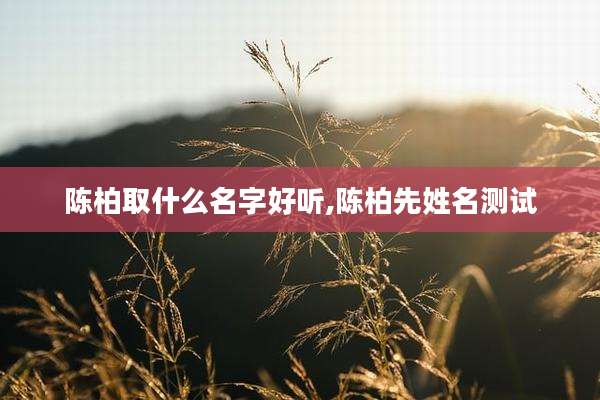 陈柏取什么名字好听,陈柏先姓名测试