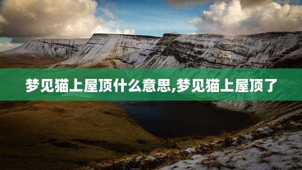 梦见猫上屋顶什么意思,梦见猫上屋顶了