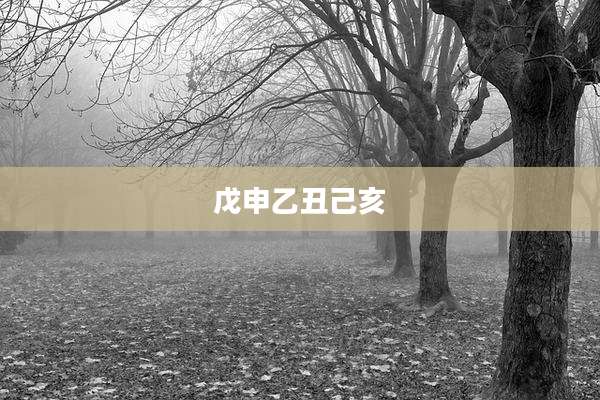 戊申乙丑己亥