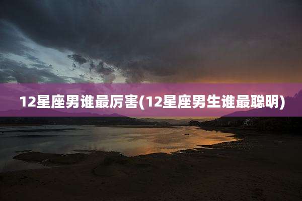 12星座男谁最厉害(12星座男生谁最聪明)
