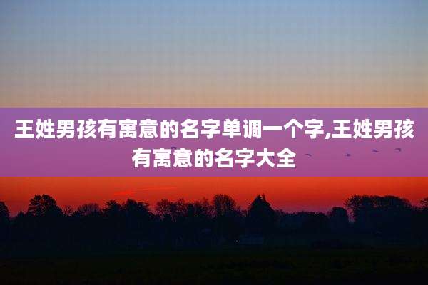 王姓男孩有寓意的名字单调一个字,王姓男孩有寓意的名字大全