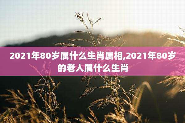 2021年80岁属什么生肖属相,2021年80岁的老人属什么生肖