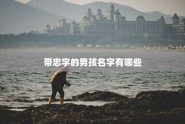 带忠字的男孩名字有哪些