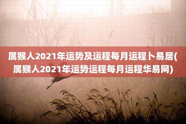 属猴人2021年运势及运程每月运程卜易居(属猴人2021年运势运程每月运程华易网)