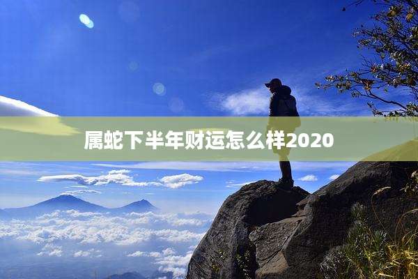 属蛇下半年财运怎么样2020