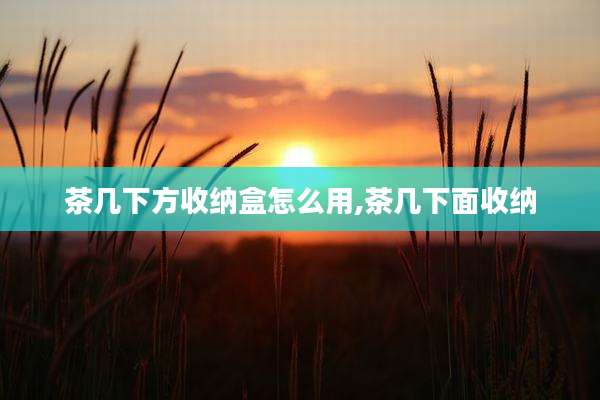 茶几下方收纳盒怎么用,茶几下面收纳