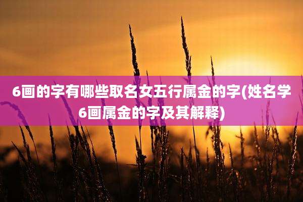 6画的字有哪些取名女五行属金的字(姓名学6画属金的字及其解释)