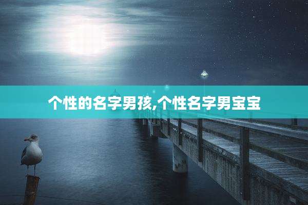 个性的名字男孩,个性名字男宝宝