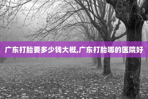 广东打胎要多少钱大概,广东打胎哪的医院好