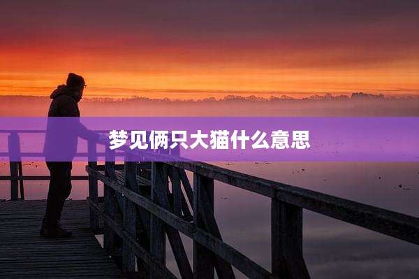 梦见俩只大猫什么意思